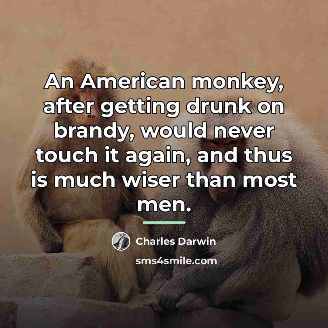 “An American monkey, after getting drunk on brandy, would never…” quote by Charles Darwin