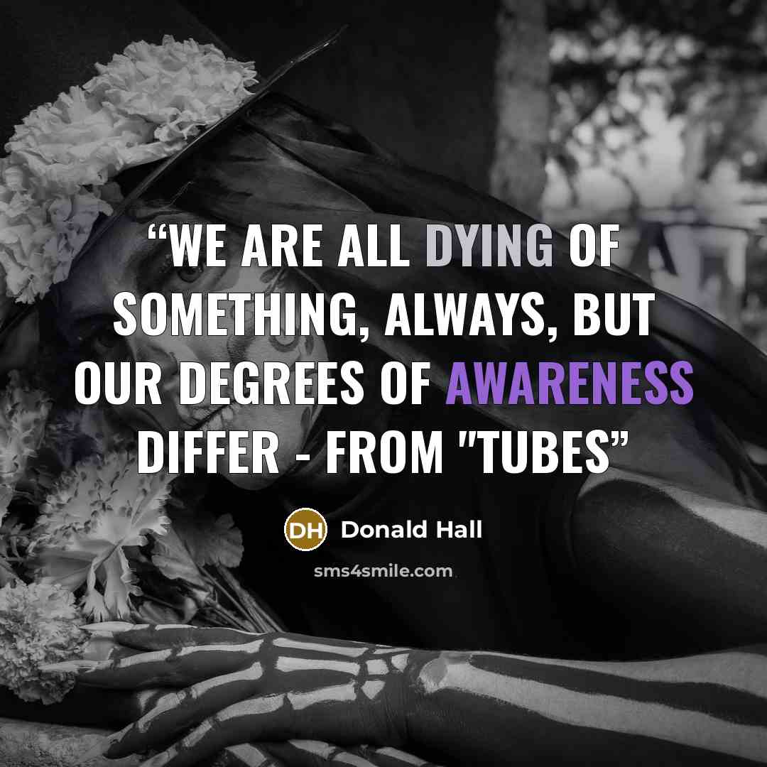 “We are all dying of something, always, but our degrees of awareness differ - from "Tubes” quote by Donald Hall