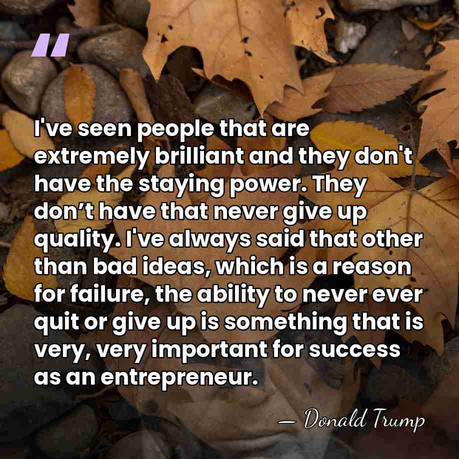 I've seen people that are extremely brilliant and they don't have the&hellip; - Donald Trump