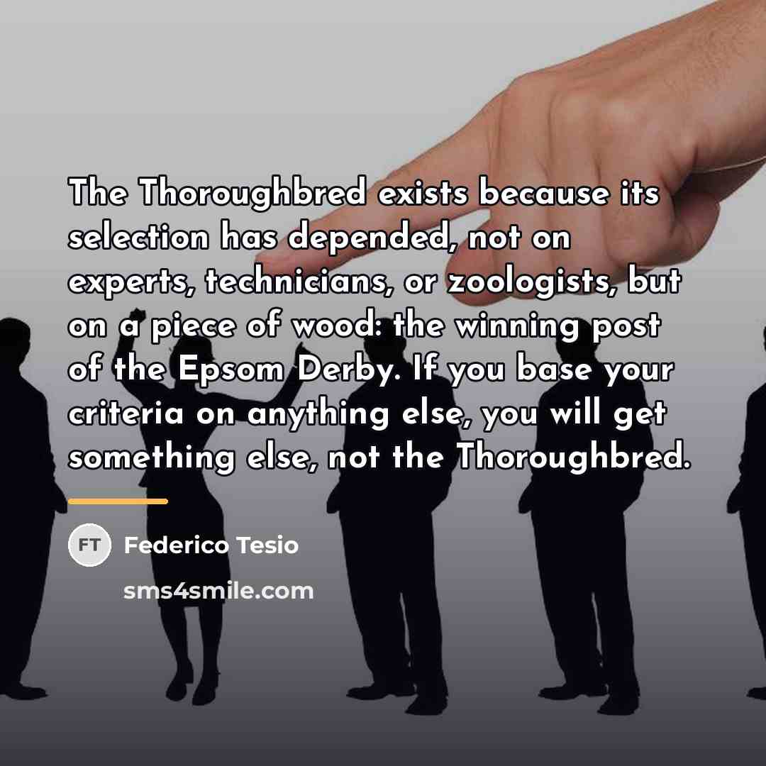“The Thoroughbred exists because its selection has depended, not on…” quote by Anonymous