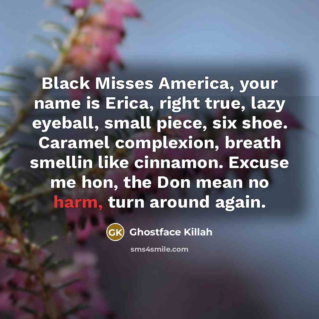“Black Misses America, your name is Erica, right true, lazy eyeball, small piece, six shoe. Caramel complexion, breath smellin like cinnamon. Excuse me hon, the Don mean no harm, turn around again.” quote by Ghostface Killah