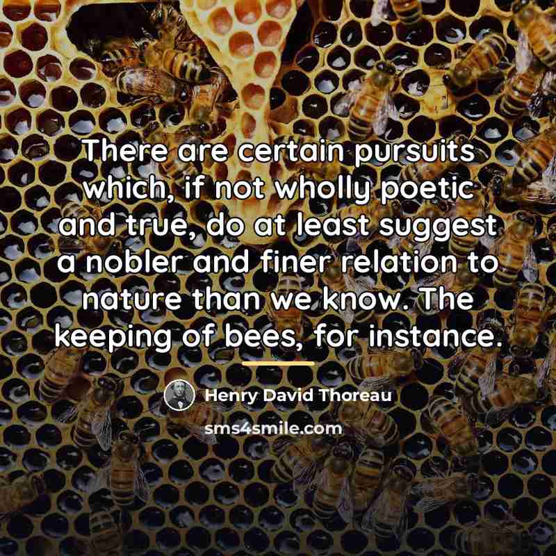 “There are certain pursuits which, if not wholly poetic and…” quote by Henry David Thoreau