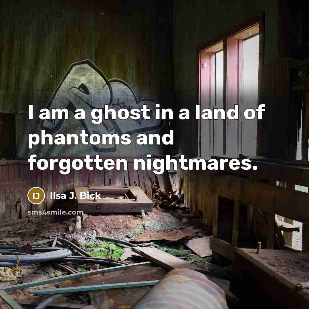 “I am a ghost in a land of phantoms and…” quote by Ilsa J. Bick