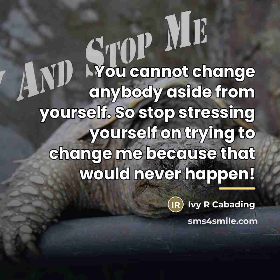 “You cannot change anybody aside from yourself. So stop stressing…” quote by Ivy R Cabading
