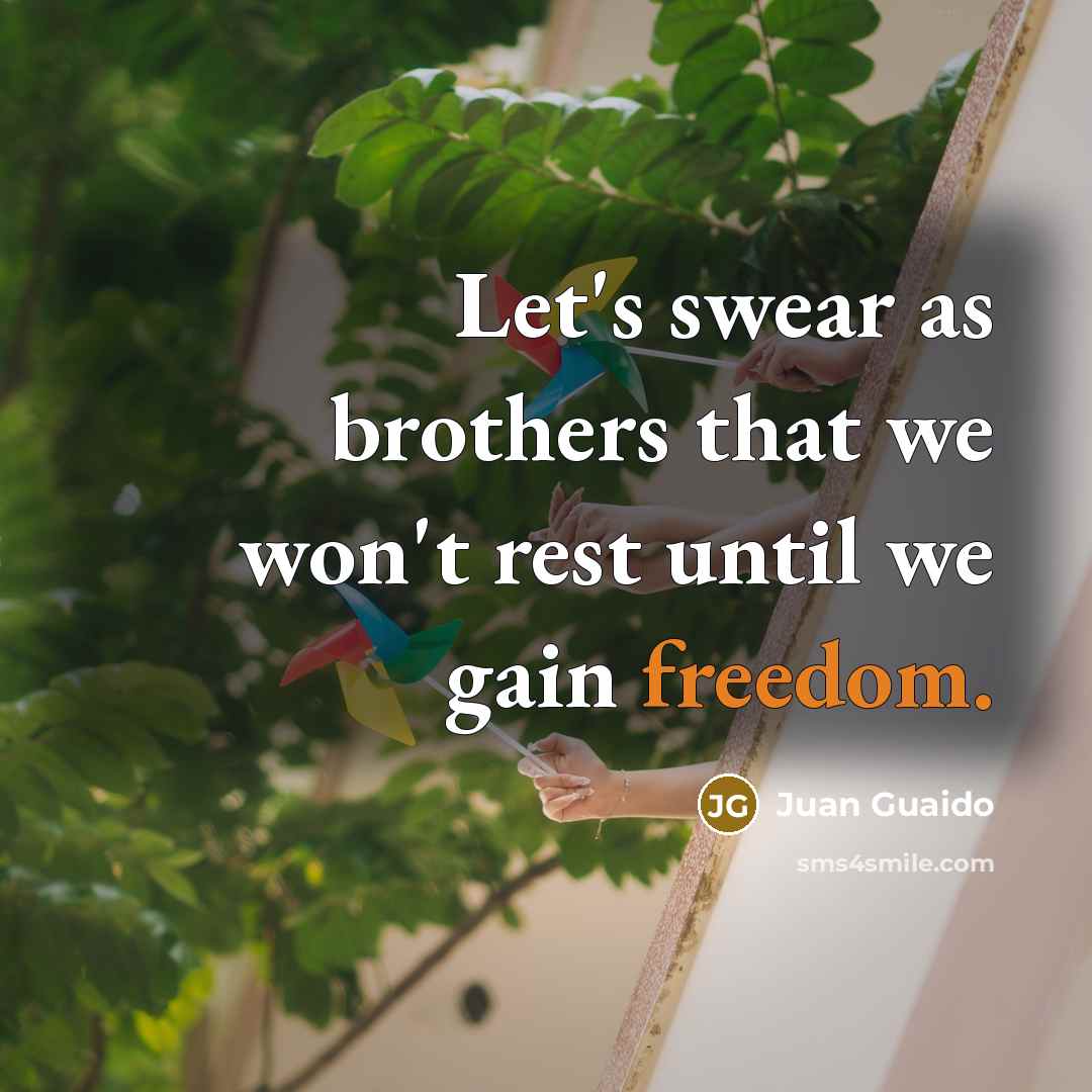 “Let's swear as brothers that we won't rest until we…” quote by Juan Guaido