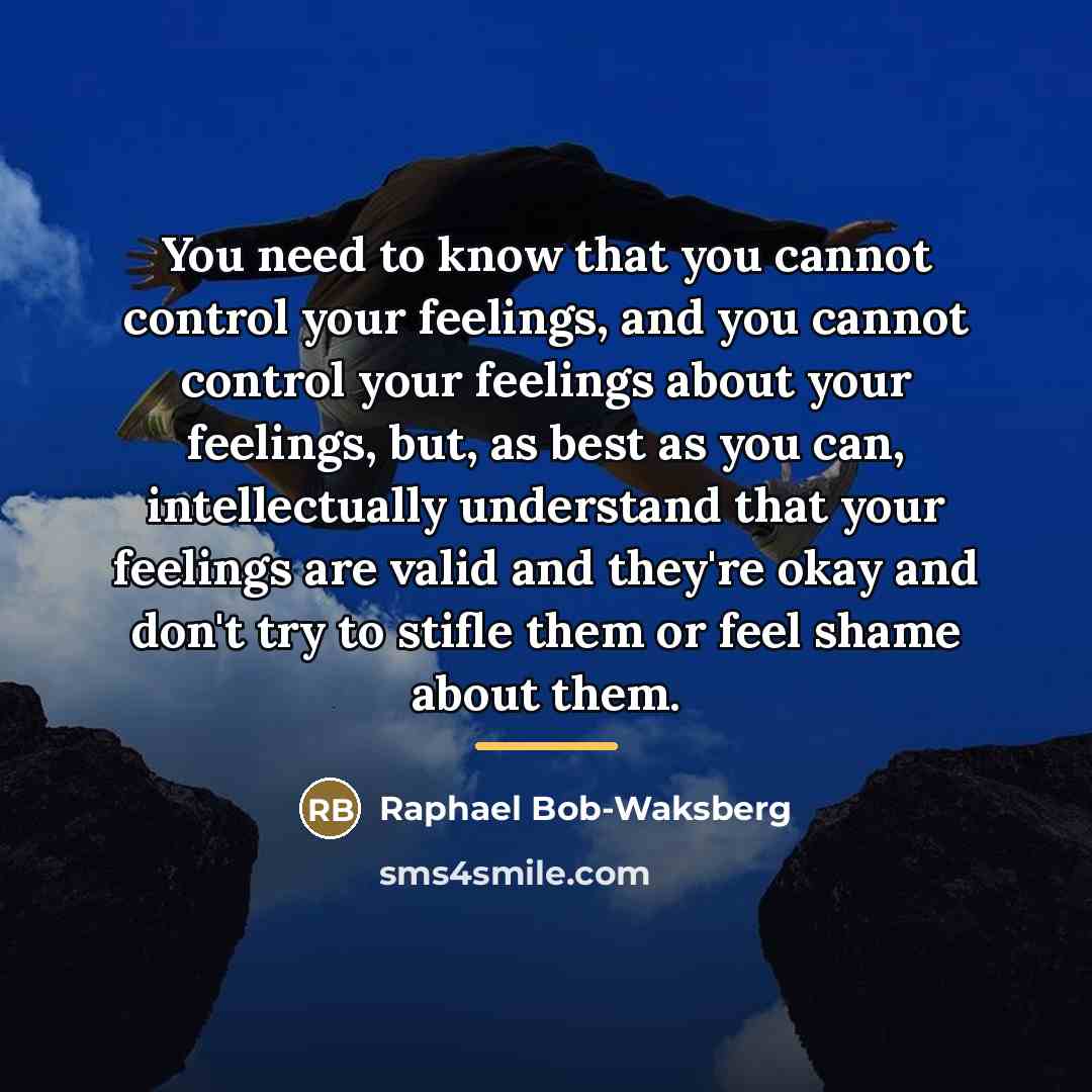 “You need to know that you cannot control your feelings,…” quote by Raphael Bob-Waksberg