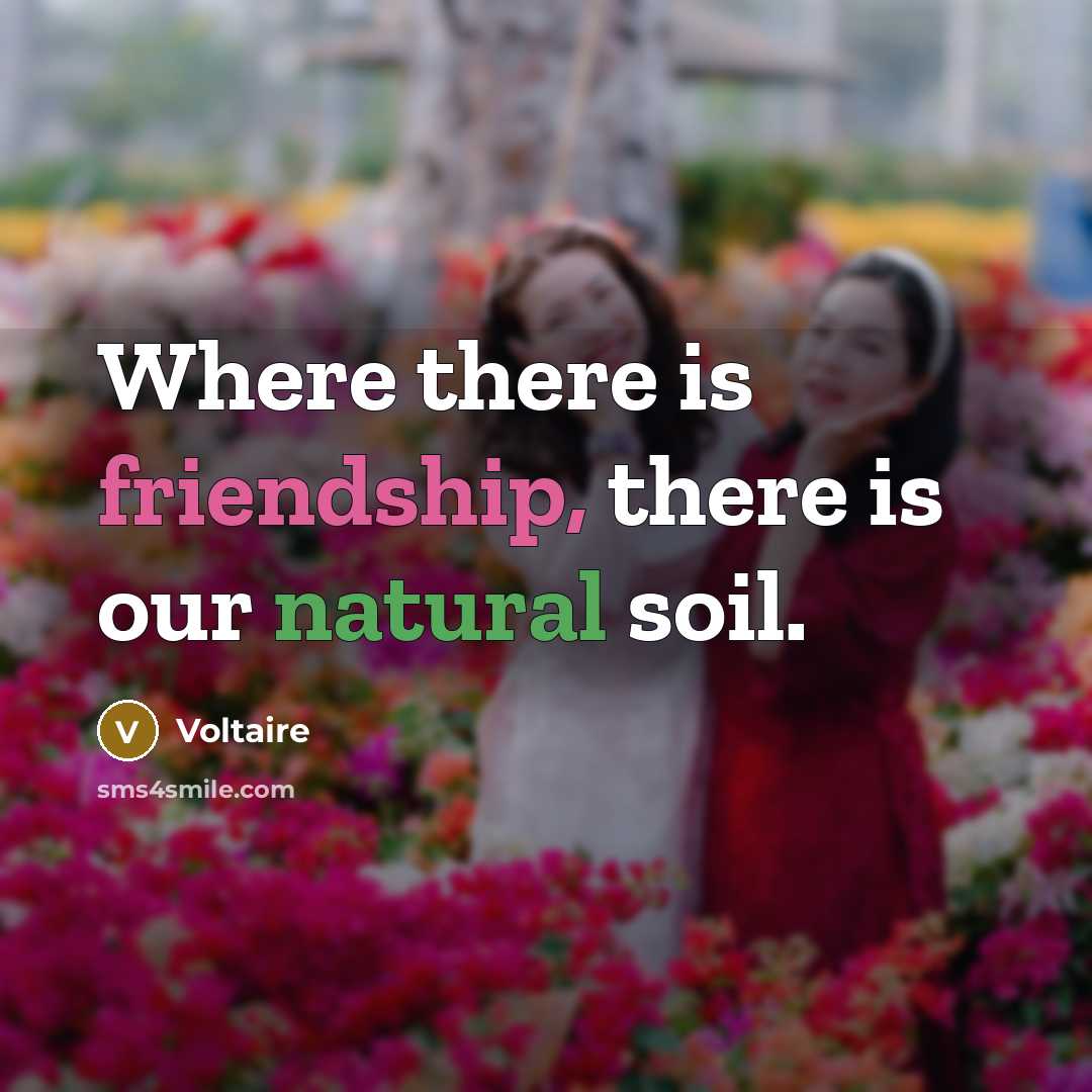 “Where there is friendship, there is our natural soil.…” quote by Voltaire