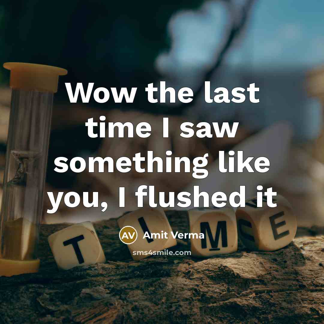 “Wow the last time I saw something like you, I…” quote by Amit Verma