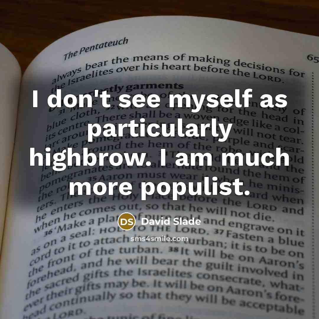 “I don't see myself as particularly highbrow. I am much…” quote by David Slade