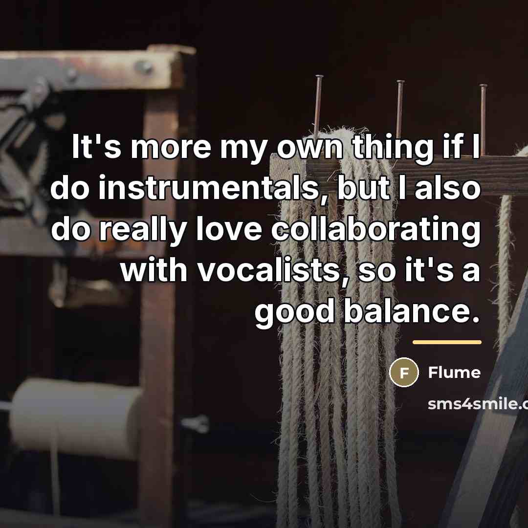 “It's more my own thing if I do instrumentals, but…” quote by Flume