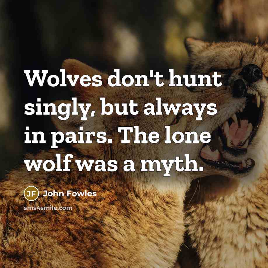 “Wolves don't hunt singly, but always in pairs. The lone…” quote by John Fowles