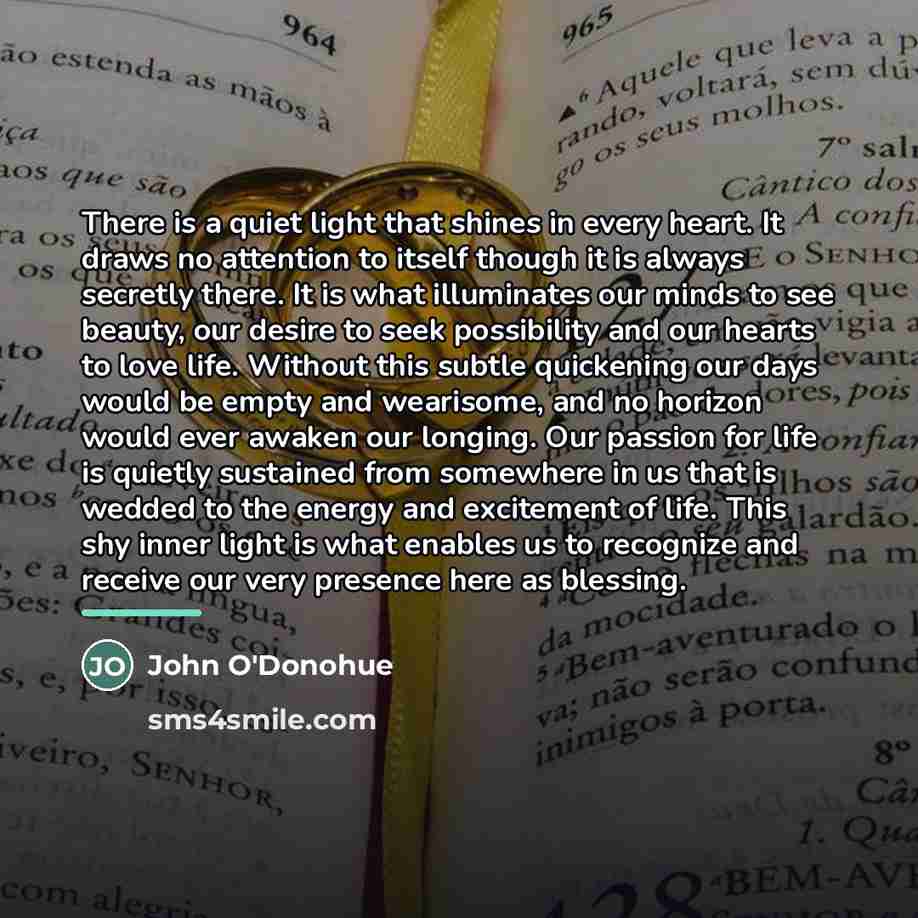 “There is a quiet light that shines in every heart.…” quote by John O'Donohue