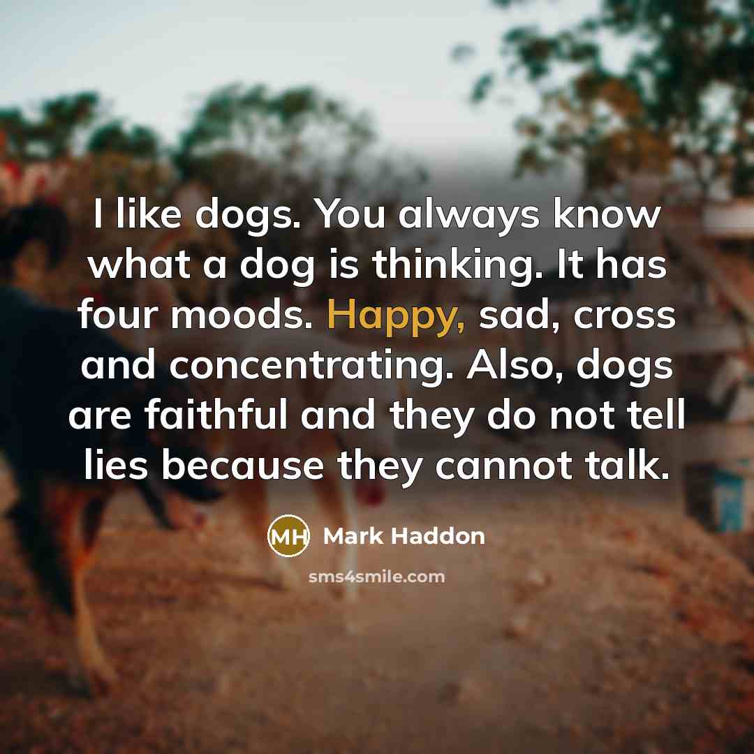 “I like dogs. You always know what a dog is…” quote by Mark Haddon