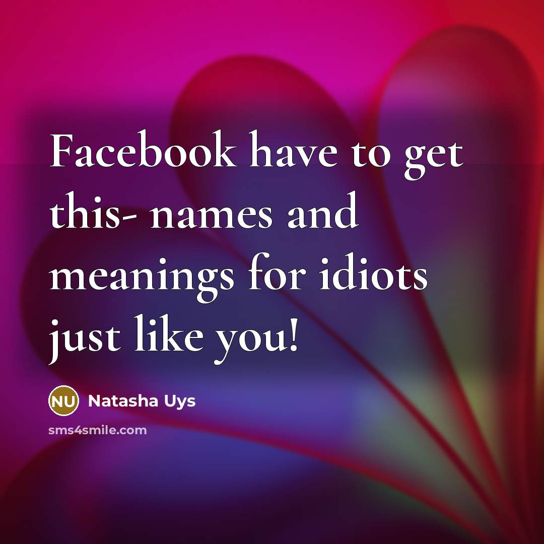 “Facebook have to get this- names and meanings for idiots…” quote by Natasha Uys