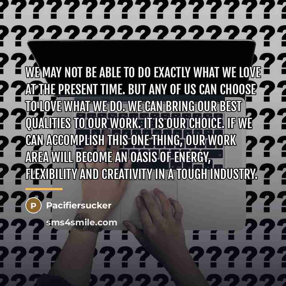 “We may not be able to do exactly what we…” quote by Pacifiersucker
