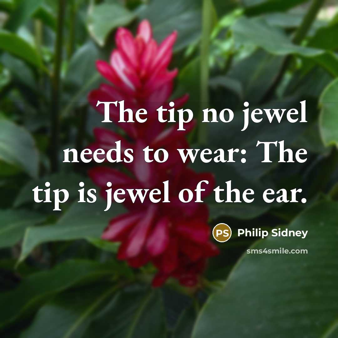 “The tip no jewel needs to wear: The tip is…” quote by Philip Sidney