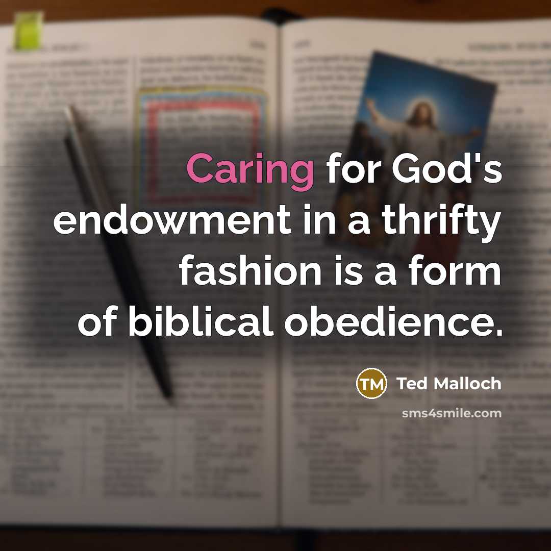 “Caring for God's endowment in a thrifty fashion is a…” quote by Ted Malloch
