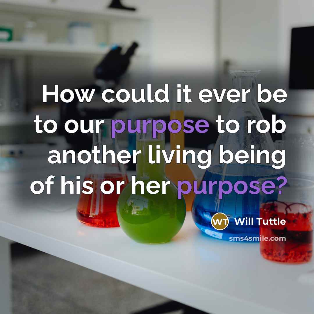 “How could it ever be to our purpose to rob another living being of his or her purpose?” quote by Will Tuttle
