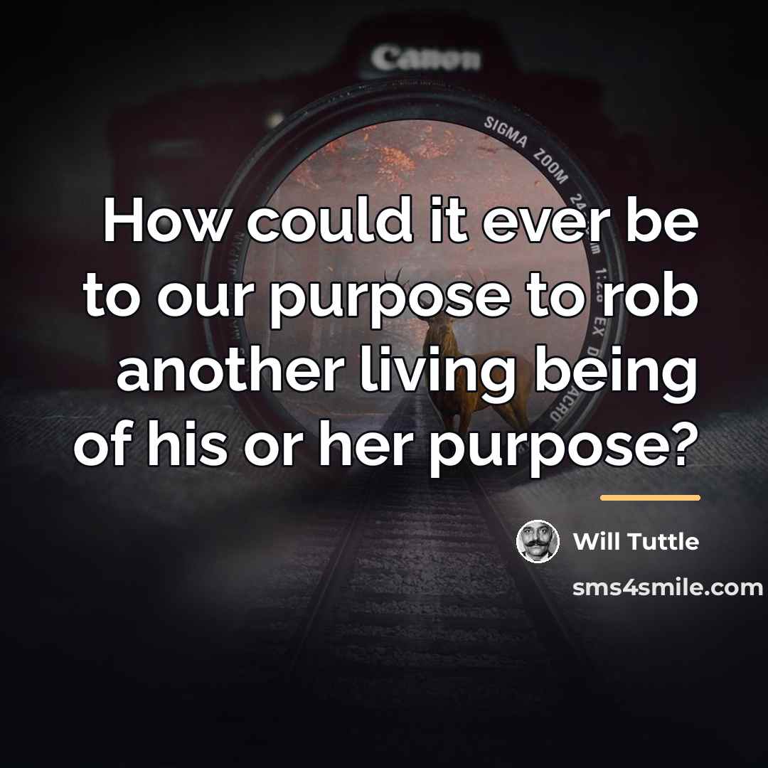“How could it ever be to our purpose to rob…” quote by Will Tuttle