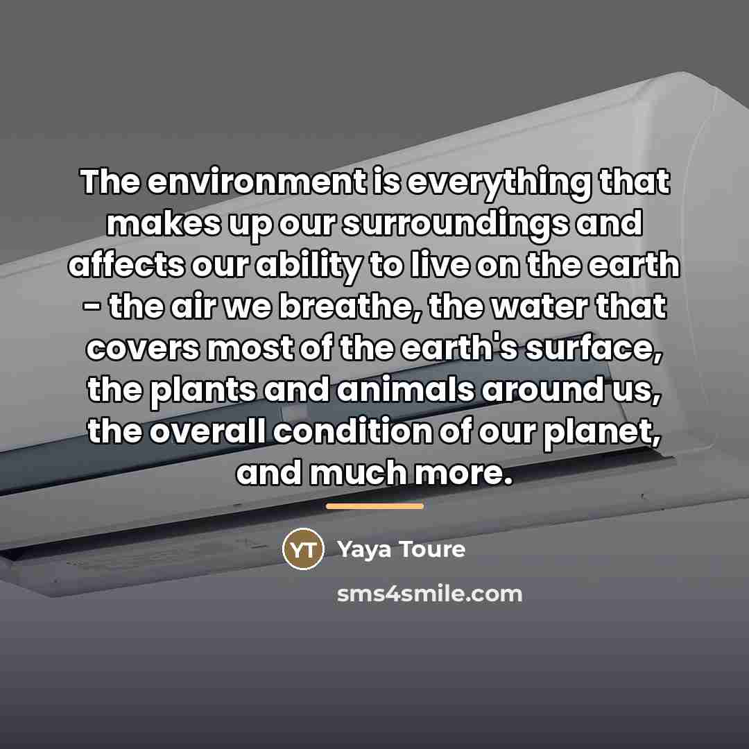 “The environment is everything that makes up our surroundings and…” quote by Yaya Toure