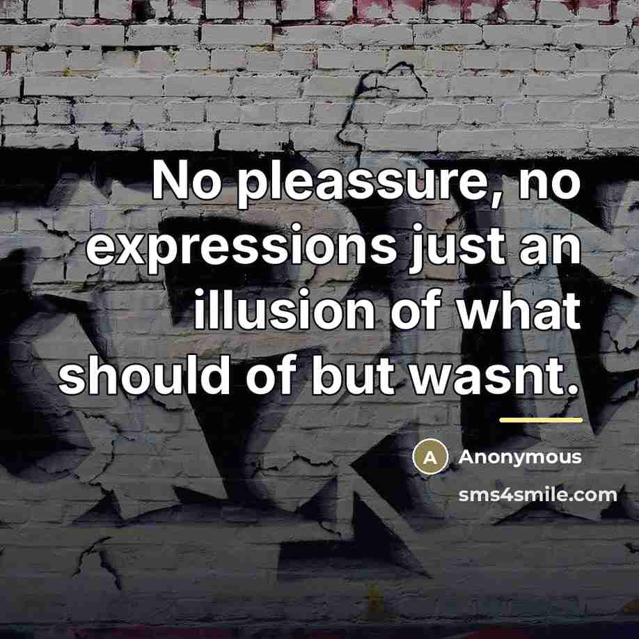 “No pleassure, no expressions just an illusion of what should…” quote by Anonymous