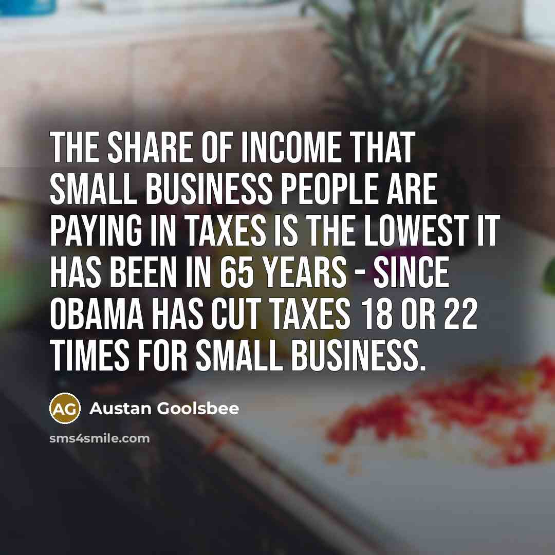 “The share of income that small business people are paying…” quote by Austan Goolsbee