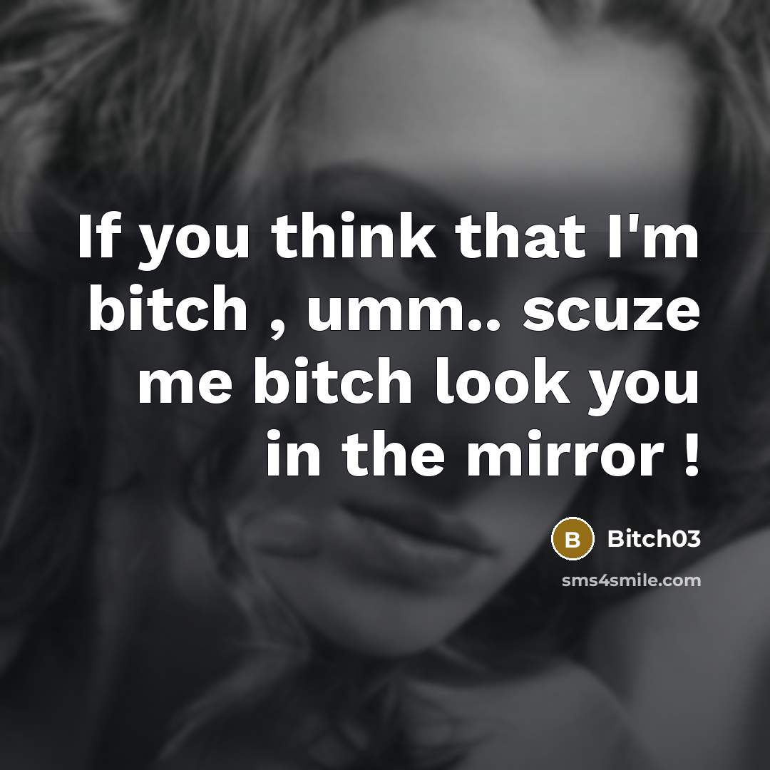 “If you think that I'm bitch , umm.. scuze me bitch look you in the mirror !” quote by Bitch03