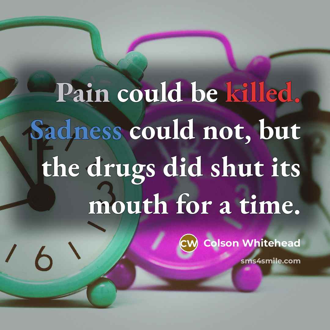 “Pain could be killed. Sadness could not, but the drugs…” quote by Colson Whitehead