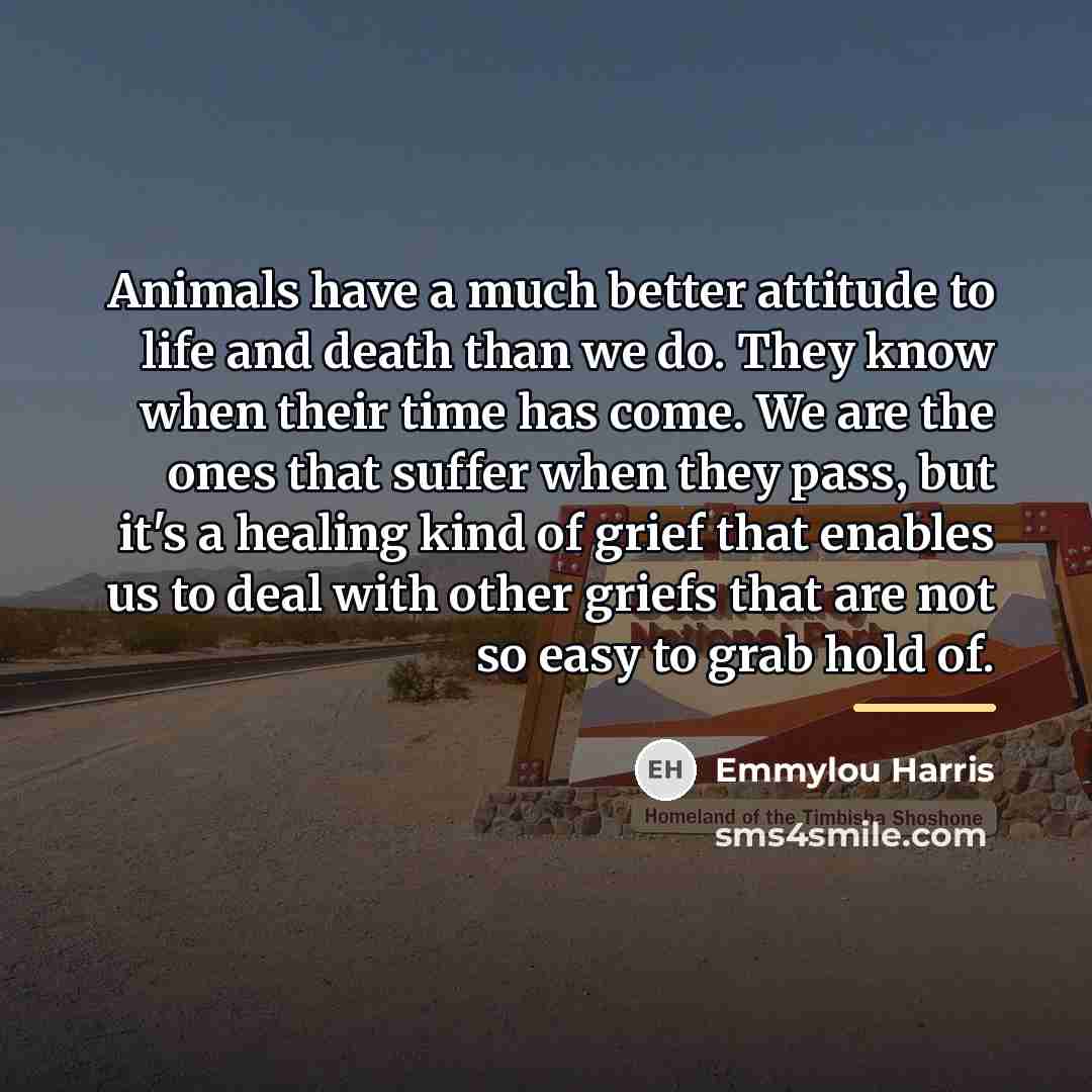 “Animals have a much better attitude to life and death…” quote by Emmylou Harris
