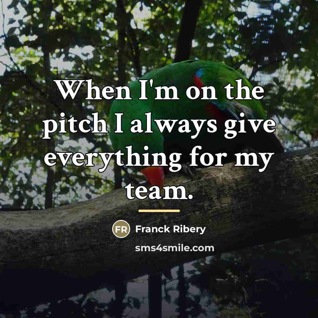 “When I'm on the pitch I always give everything for…” quote by Franck Ribery
