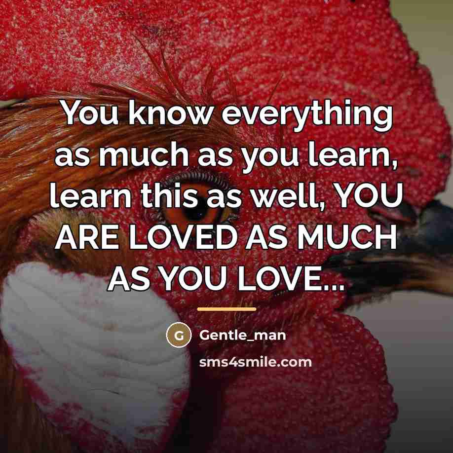 “You know everything as much as you learn, learn this…” quote by Gentle_man