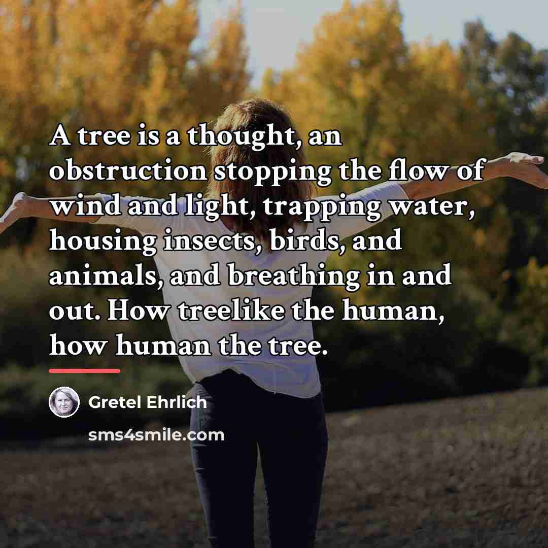 “A tree is a thought, an obstruction stopping the flow…” quote by Gretel Ehrlich