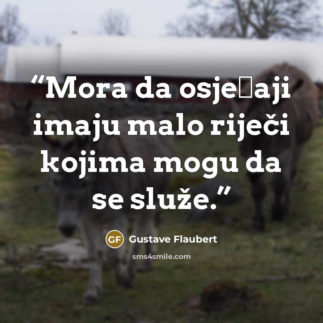 “Mora da osjećaji imaju malo riječi kojima mogu da se služe.” quote by Gustave Flaubert