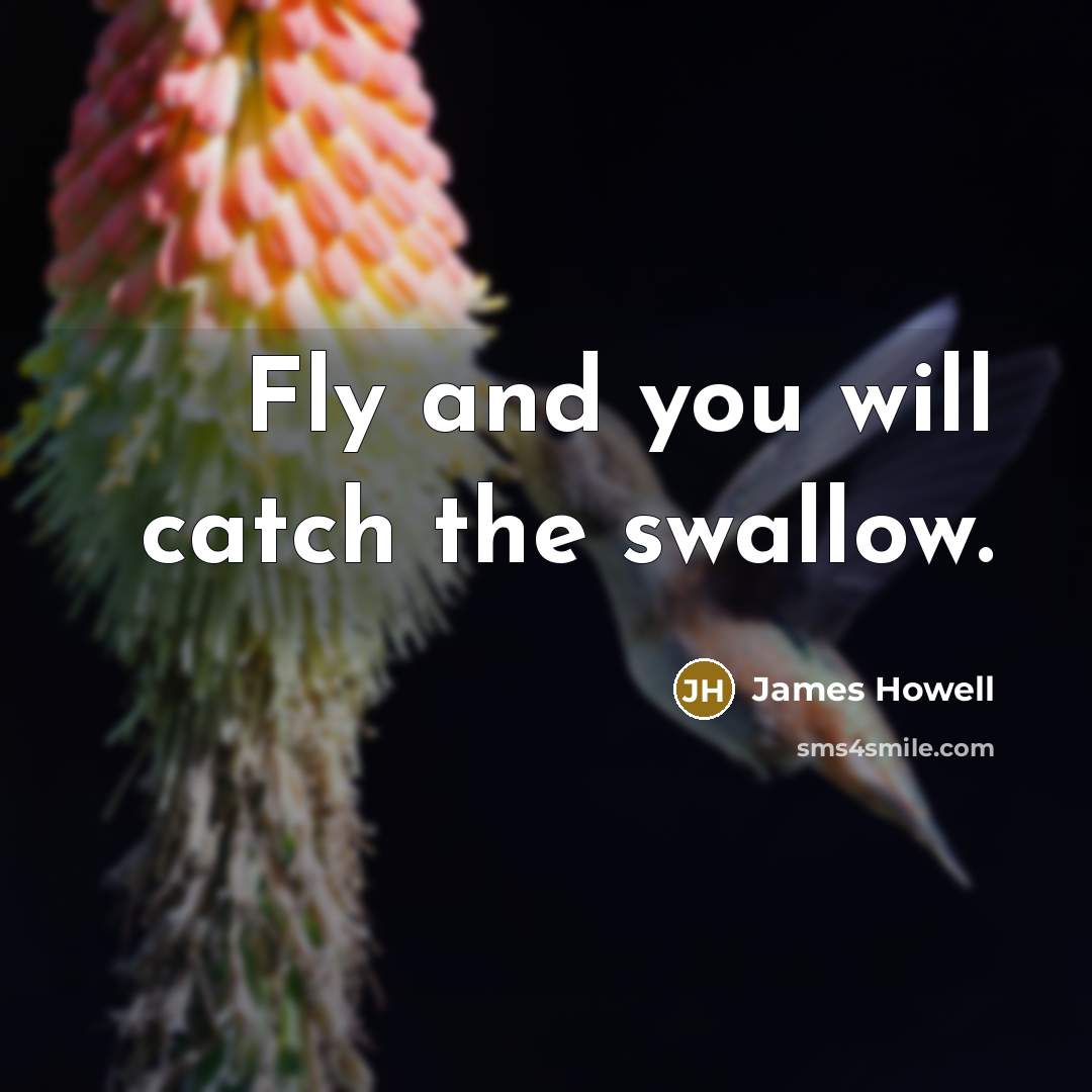 “Fly and you will catch the swallow.…” quote by James Howell