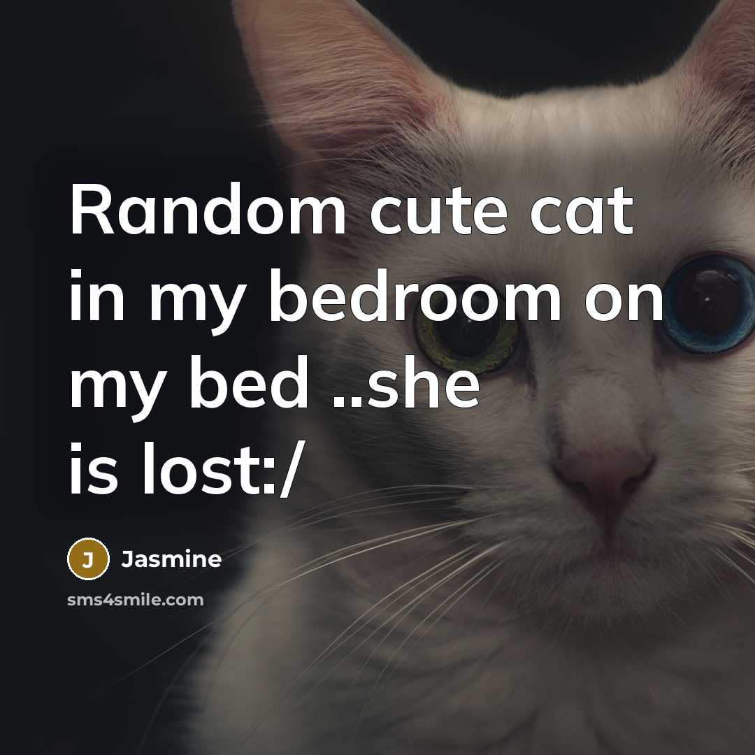 “Random cute cat in my bedroom on my bed ..she…” quote by Jasmine