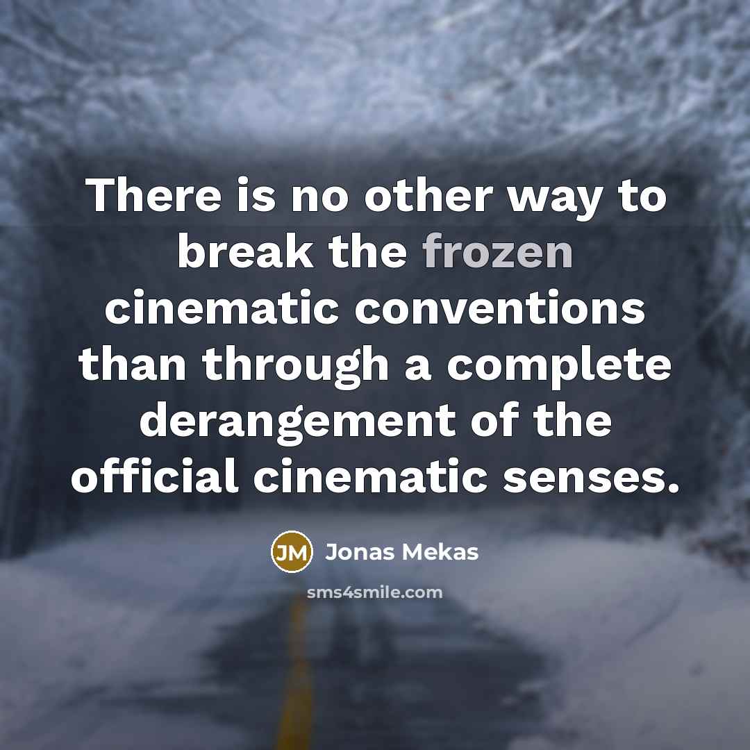 “There is no other way to break the frozen cinematic…” quote by Jonas Mekas