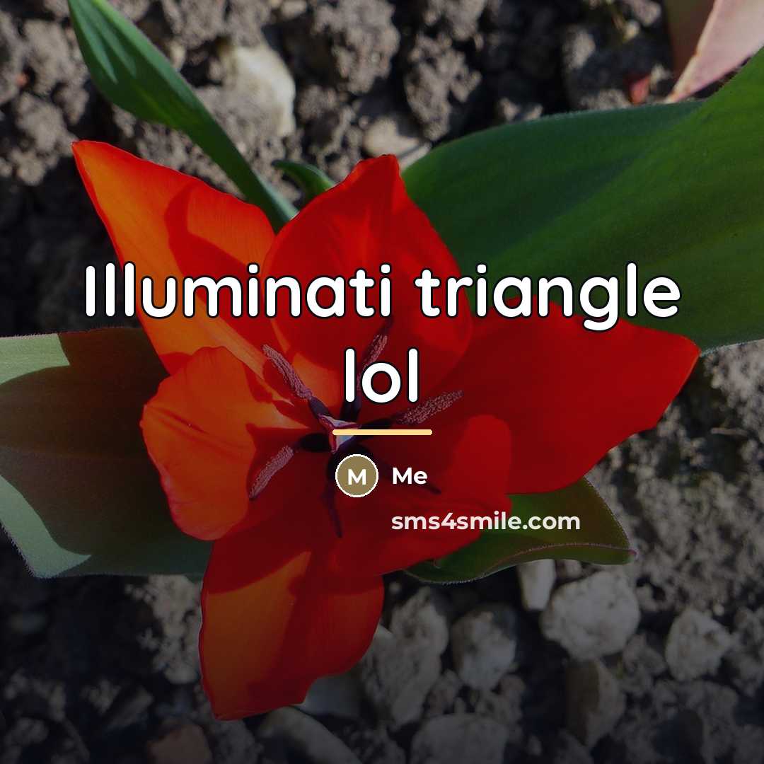 “Illuminati triangle lol…” quote by Me