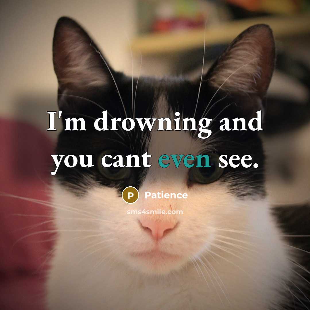 “I'm drowning and you cant even see.…” quote by Patience