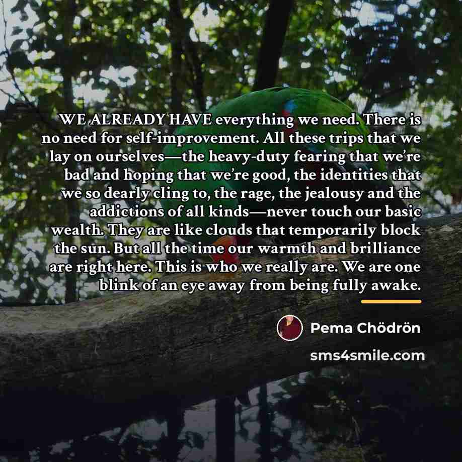 “WE ALREADY HAVE everything we need. There is no need…” quote by Pema Chodron