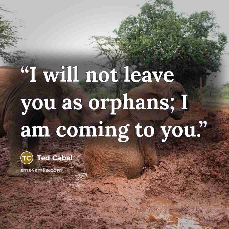 “I will not leave you as orphans; I am coming to you.” quote by Ted Cabal