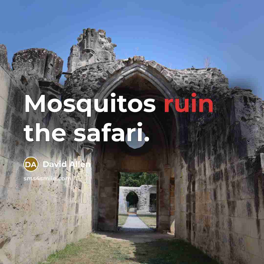 “Mosquitos ruin the safari.” quote by David Allen