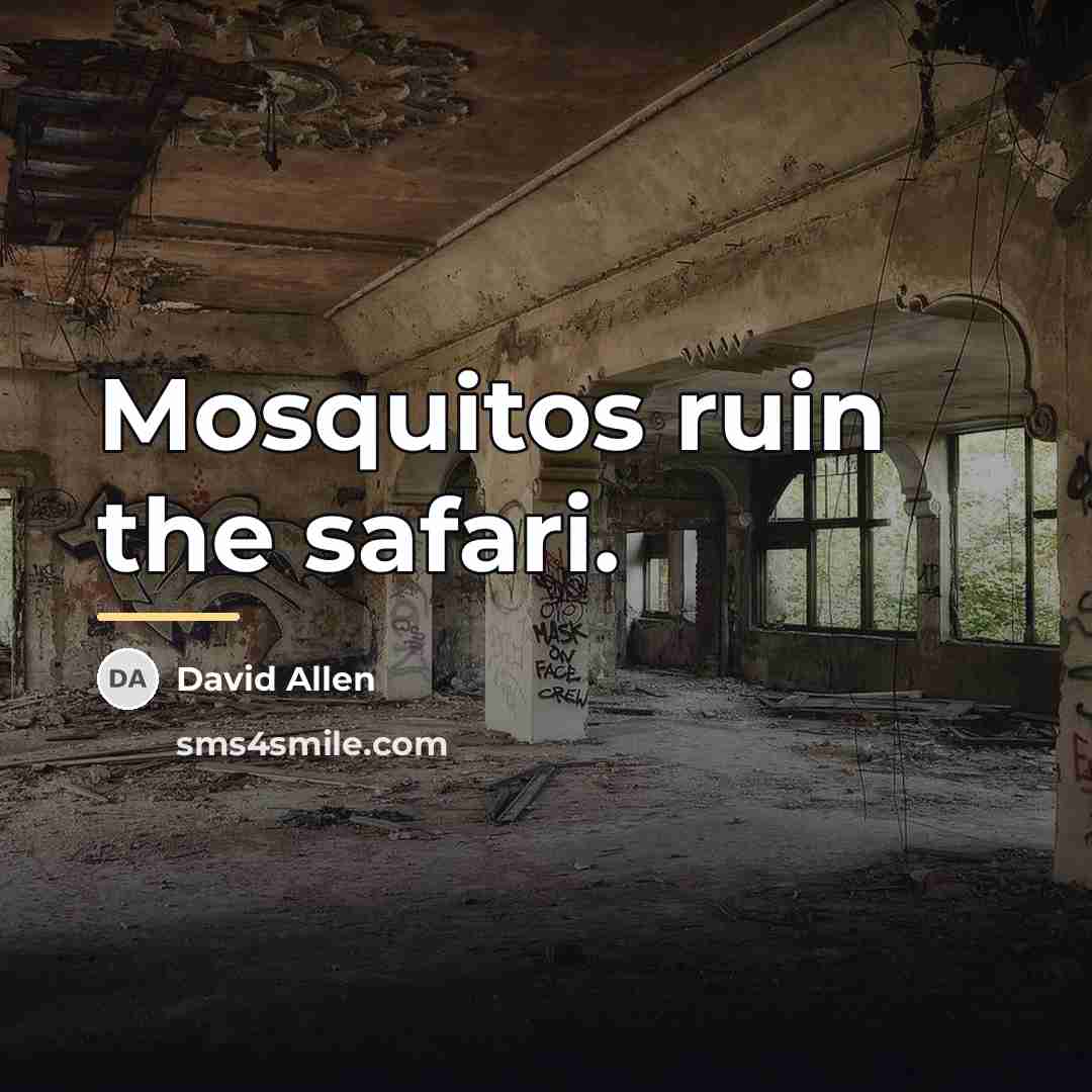 “Mosquitos ruin the safari.…” quote by David Allen