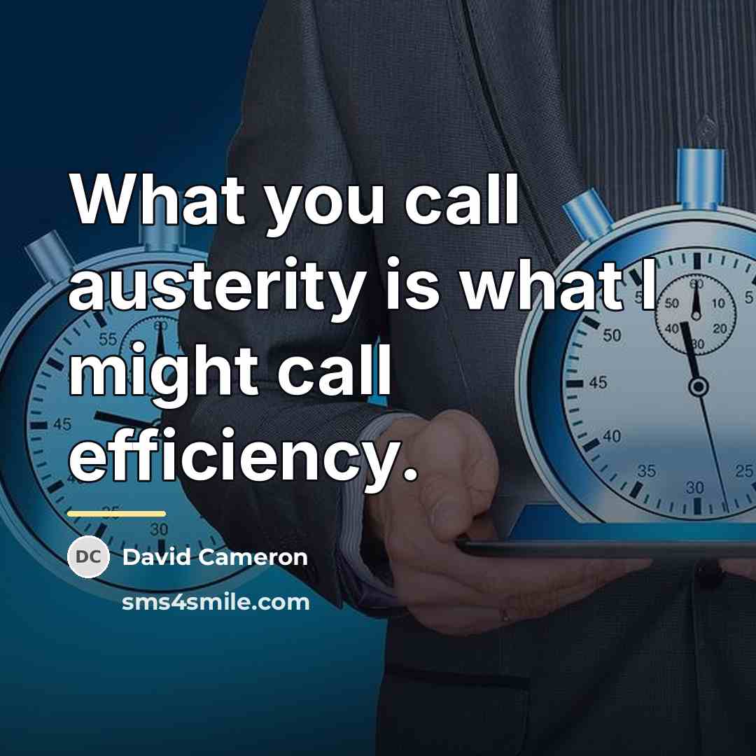 “What you call austerity is what I might call efficiency.…” quote by David Cameron