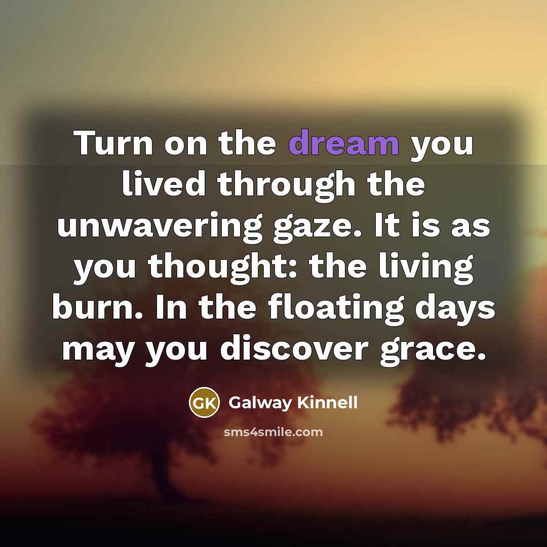 “Turn on the dream you lived through the unwavering gaze.…” quote by Galway Kinnell