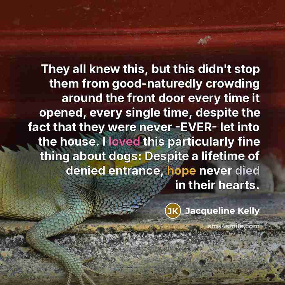 “They all knew this, but this didn't stop them from good-naturedly crowding around the front door every time it opened, every single time, despite the fact that they were never -EVER- let into the house. I loved this particularly fine thing about dogs: Despite a lifetime of denied entrance, hope…” quote by Jacqueline Kelly