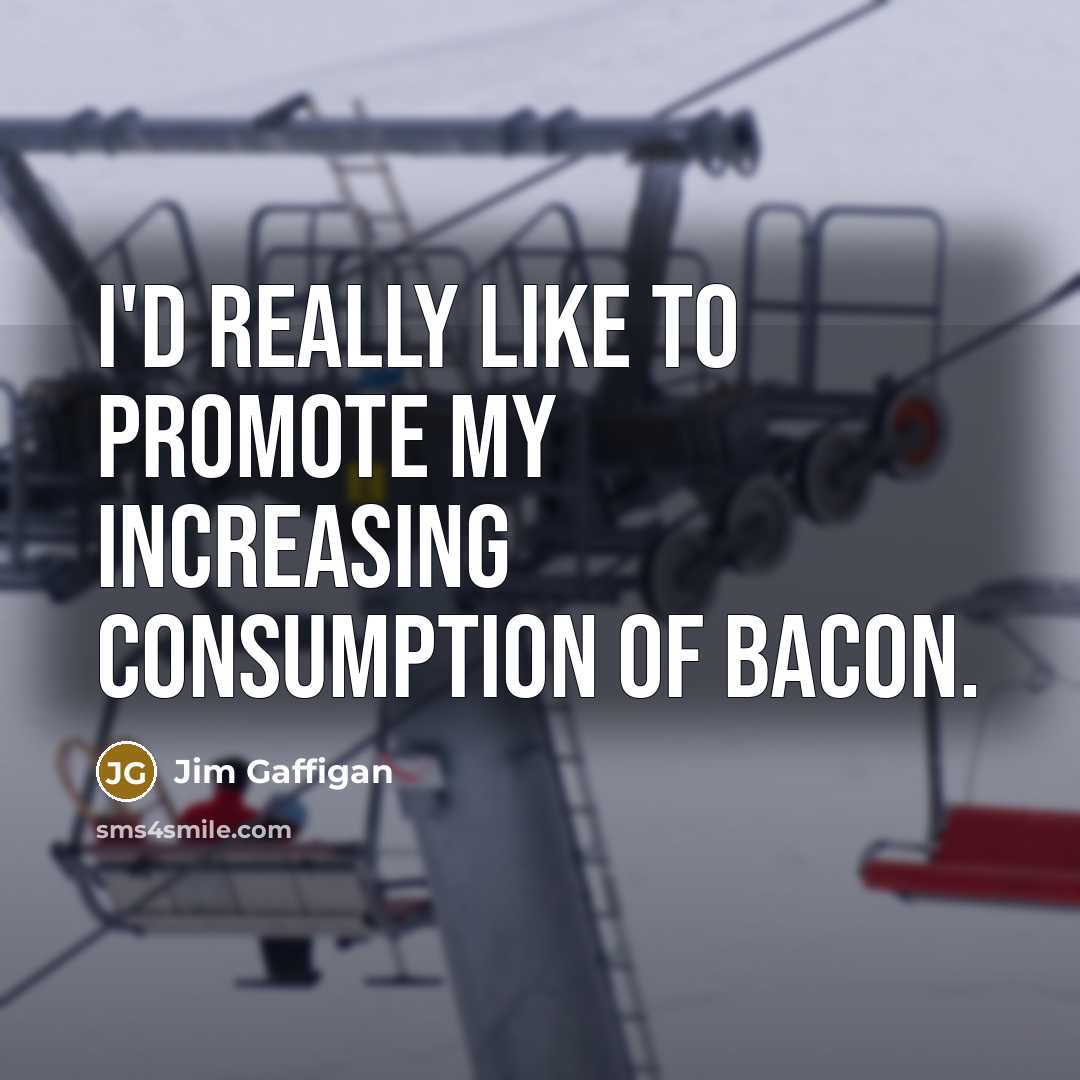 “I'd really like to promote my increasing consumption of bacon.…” quote by Jim Gaffigan
