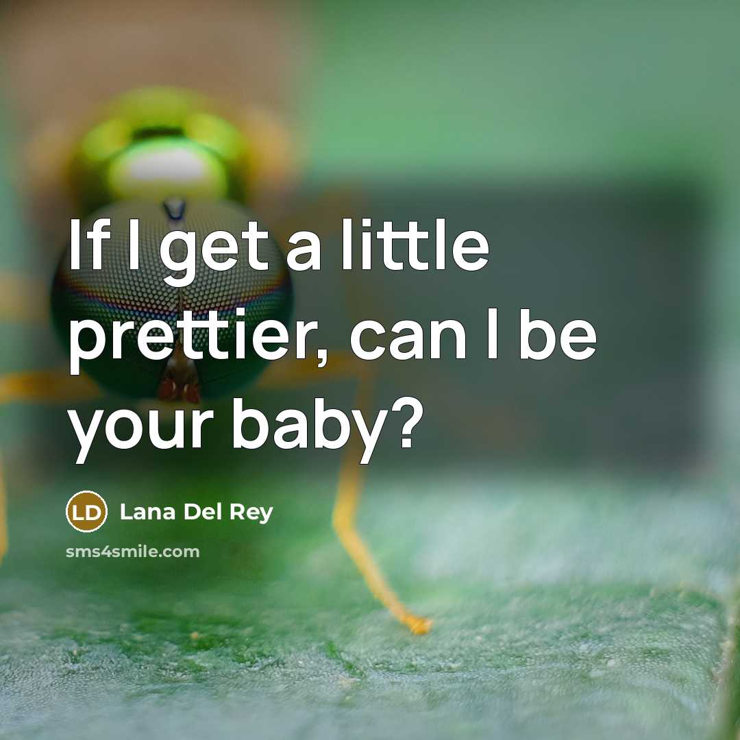 “If I get a little prettier, can I be your…” quote by Lana Del Rey
