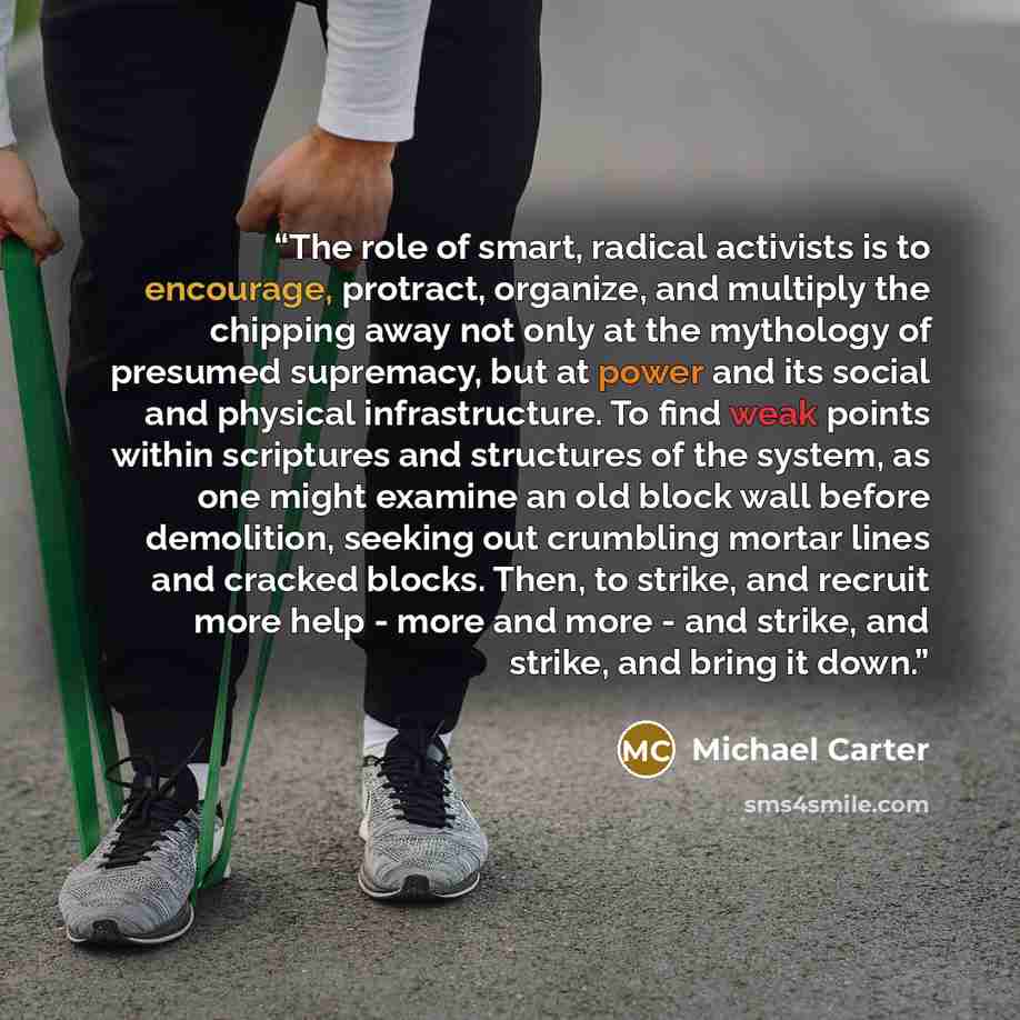 “The role of smart, radical activists is to encourage, protract, organize, and multiply the chipping away not only at the mythology of presumed supremacy, but at power and its social and physical infrastructure. To find weak points within scriptures and structures of the system, as one might…” quote by Michael Carter