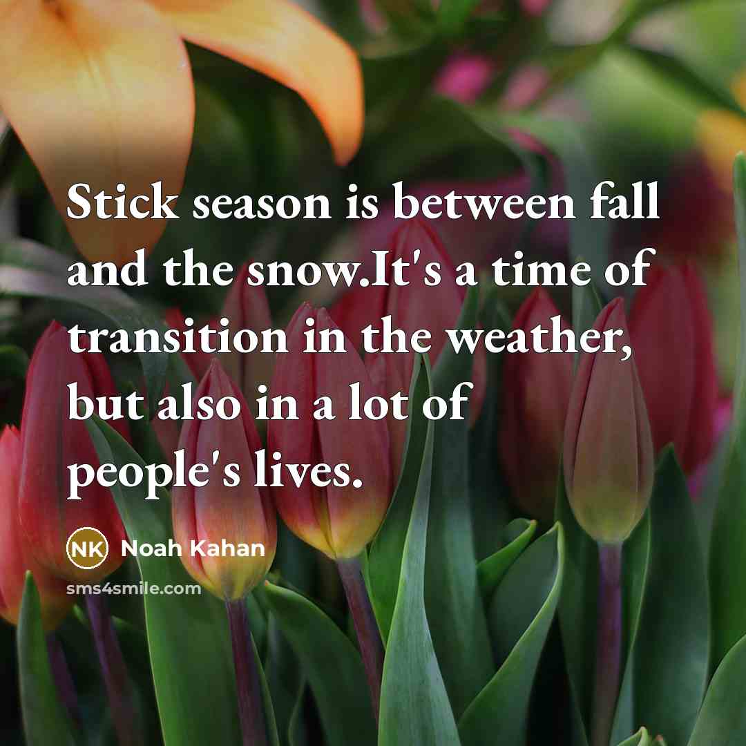 “Stick season is between fall and the snow.It's a time…” quote by Noah Kahan