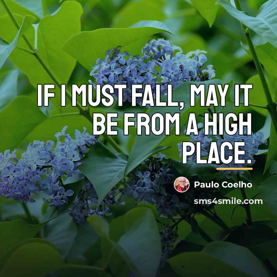 “If I must fall, may it be from a high…” quote by Paulo Coelho